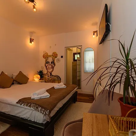 Backpacker'S Room Braşov Esterno foto