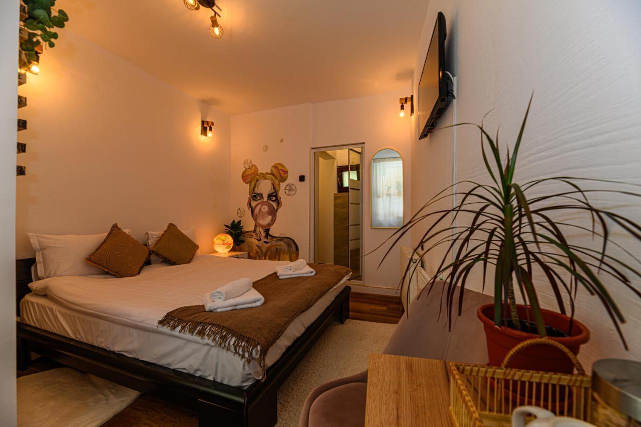 Appartement Backpacker's Braşov