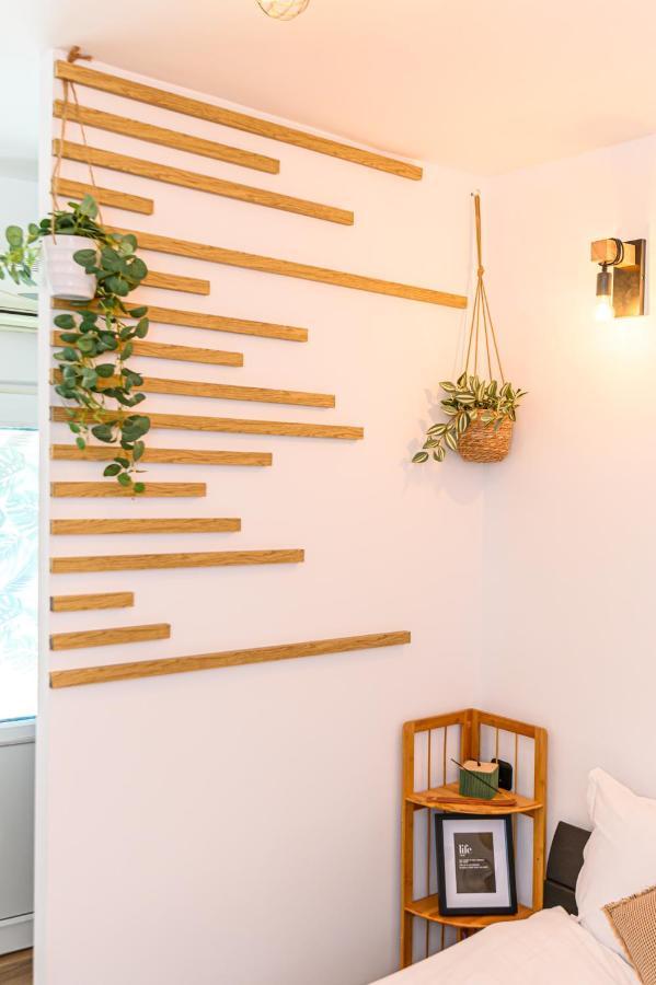 Backpacker's Appartement Braşov